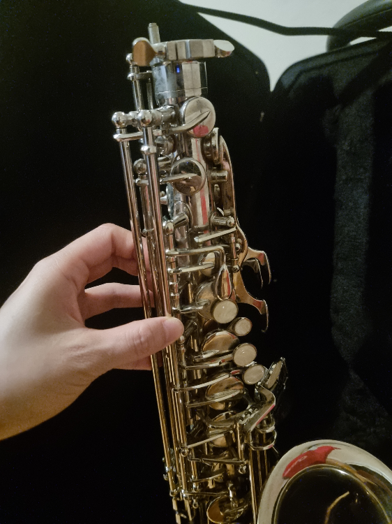Eavone Pop Series ESA-2500 Saxophone - photo 5