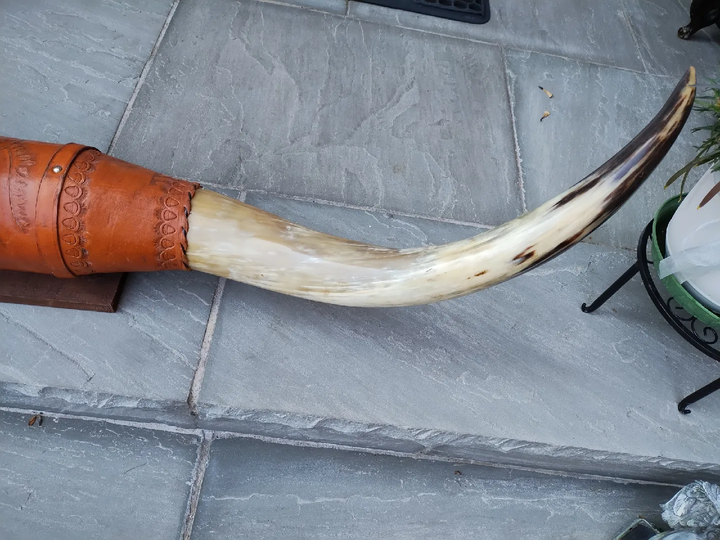 Decorative Carved LongHorn With Leather image indicator(5)