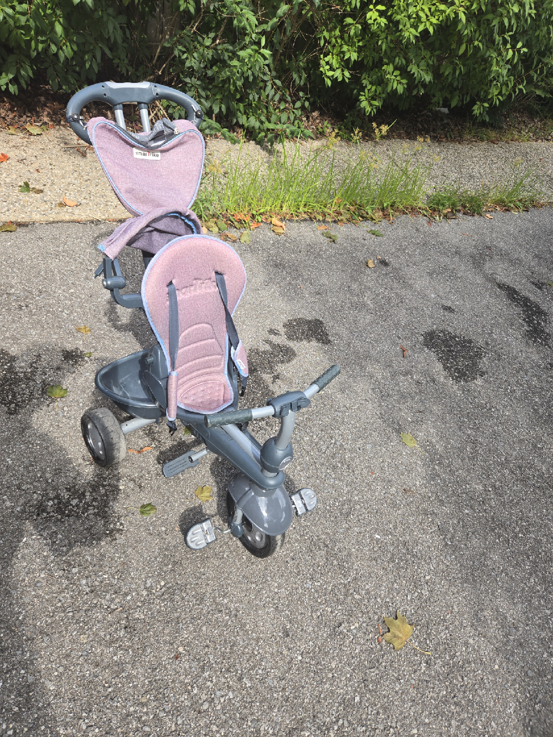 Smartrike Grey & Purple Tricycle - photo 2