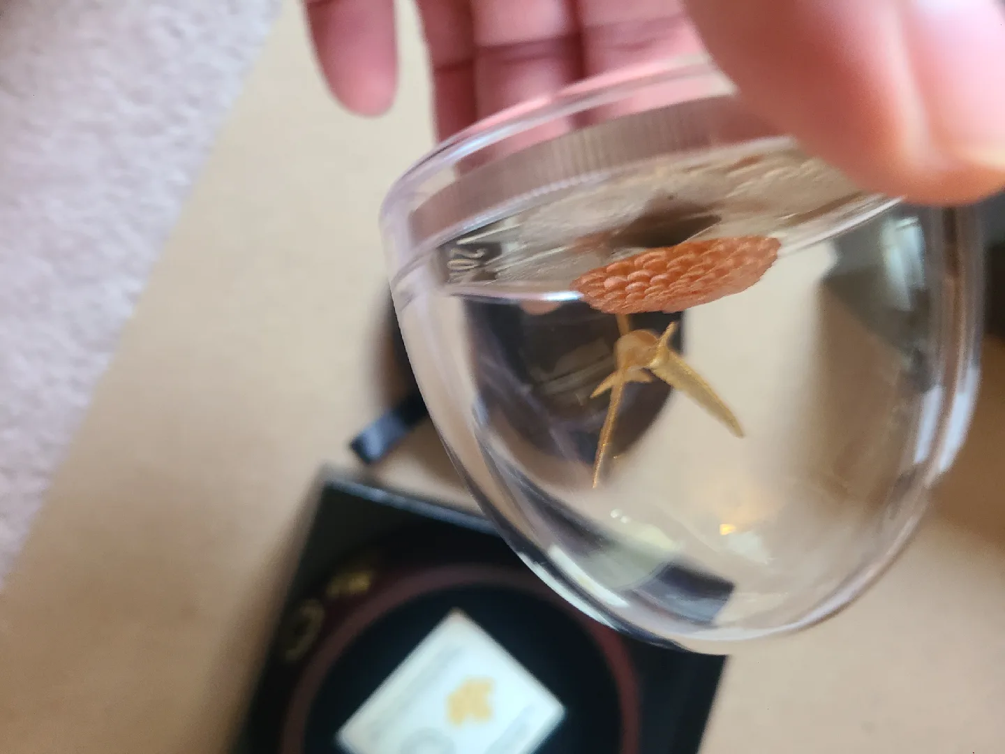 The Hummingbird and the Bloom 5oz Pure Silver Coin image indicator(7)