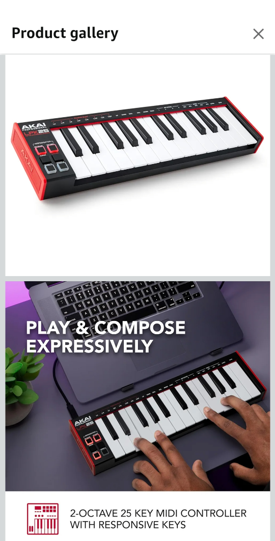 Akai Professional LPK25 USB MIDI Keyboard Controller - photo 2