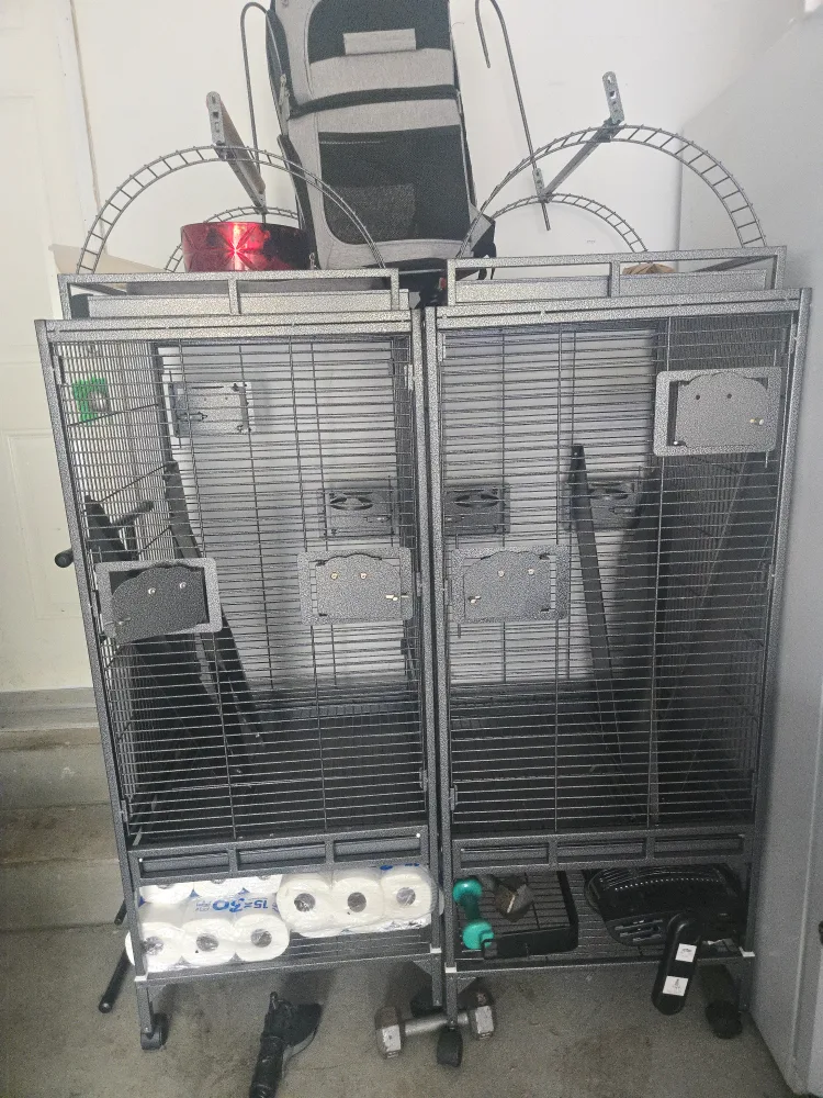 Bird Cage image indicator(3)