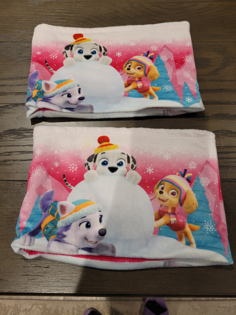Paw Patrol Winter Headbands - Set of 2