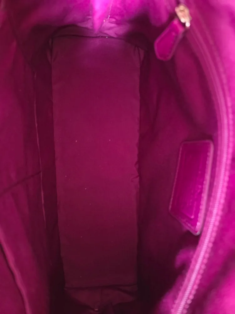 Coach Dome Crossbody or Handbag - Beige image indicator(6)