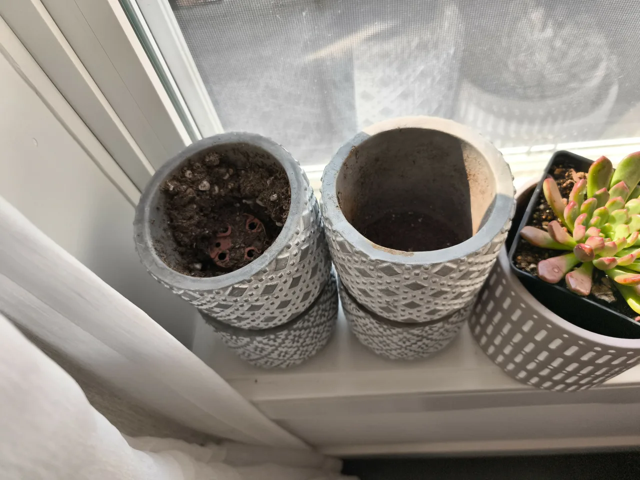 Set of 4 Decorative Patterned Plant Pots image indicator(2)