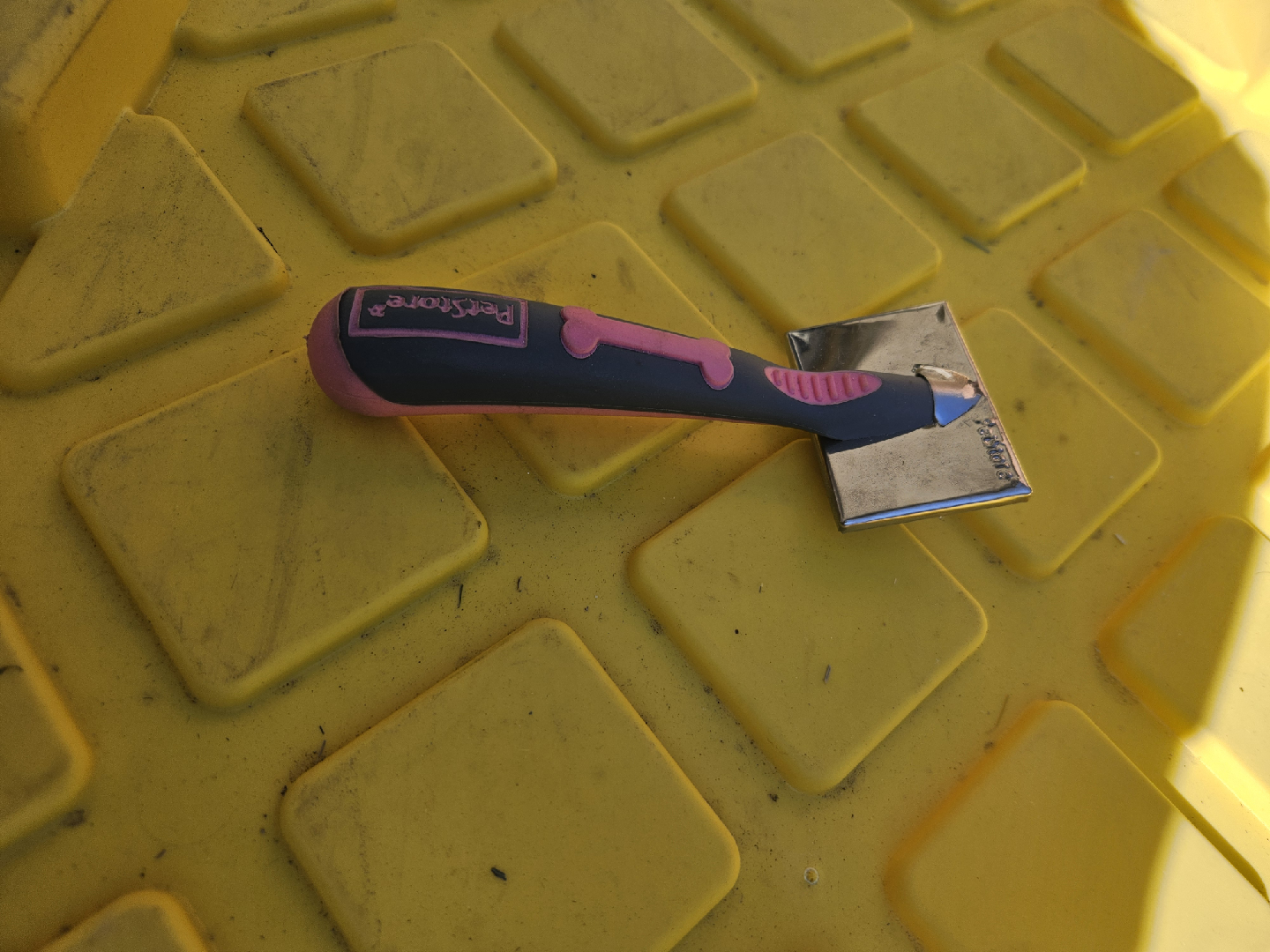 Pet Stone Pet Hair Remover Brush