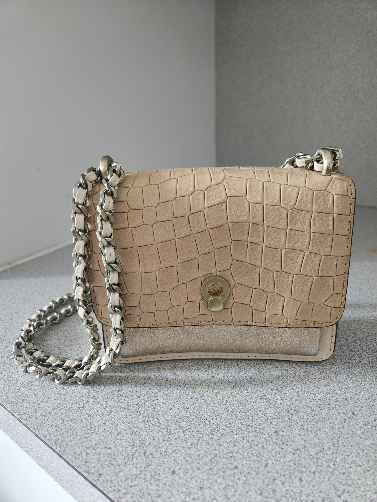 Etienne Aigner Beige Chain Crossbody Bag