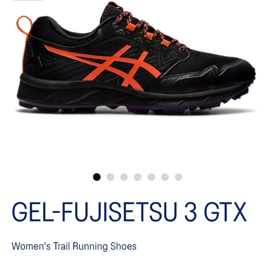 Asics Gel-Fujitsu 3 GTX running shoes (size 9)