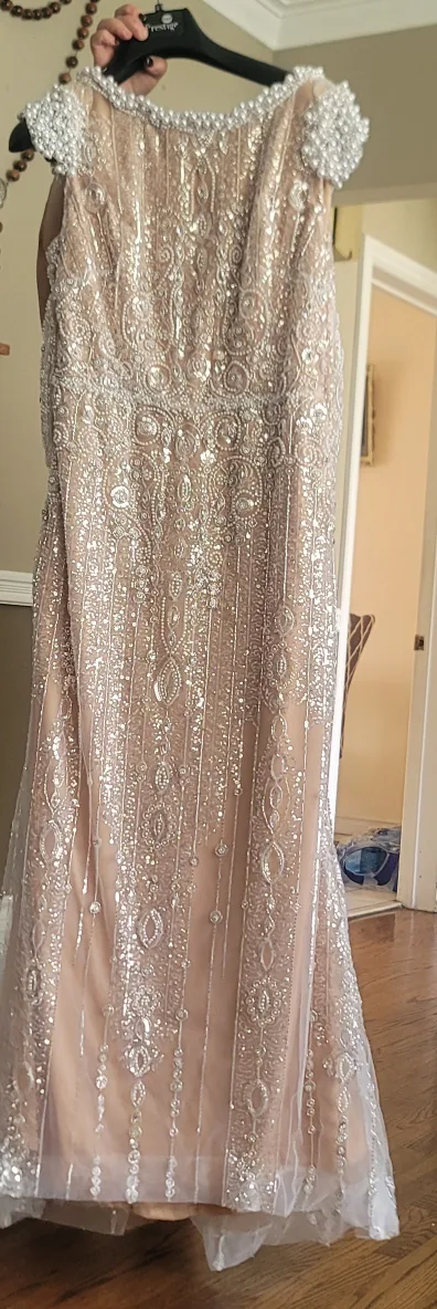 Beaded Formal Dress image indicator(2)