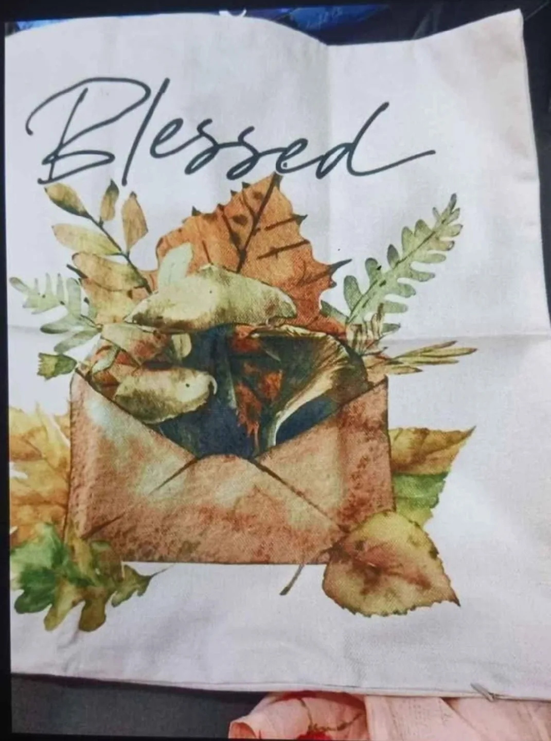 Fall Themed Pillow Covers image indicator(4)