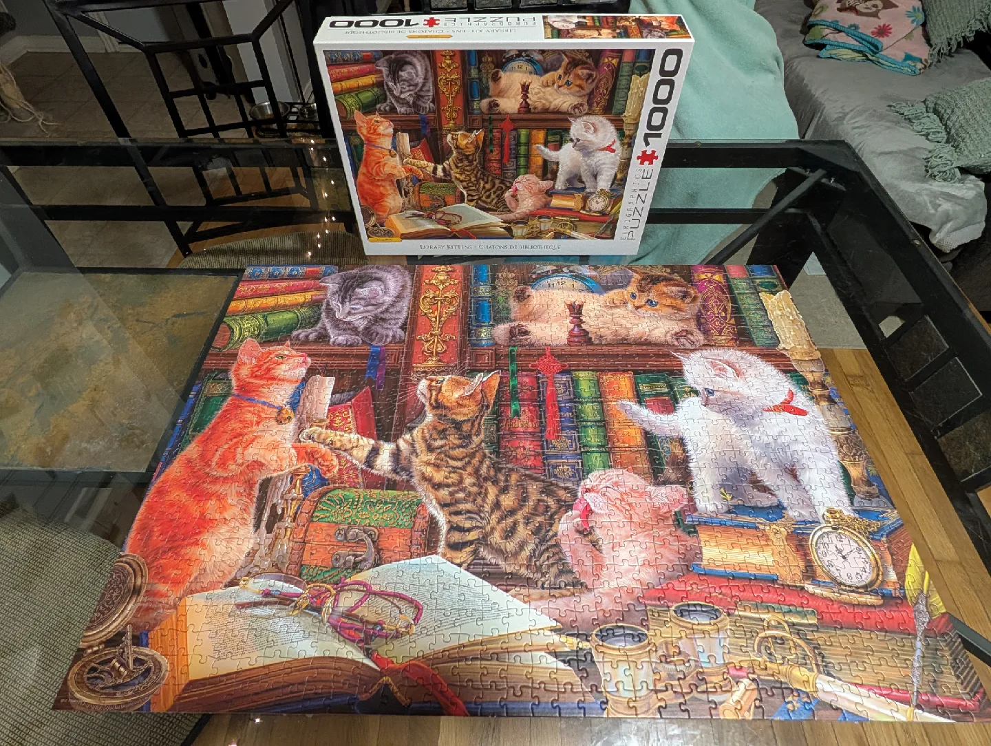 Eurographics Library Kittens 1000 Piece Puzzle thumbnail