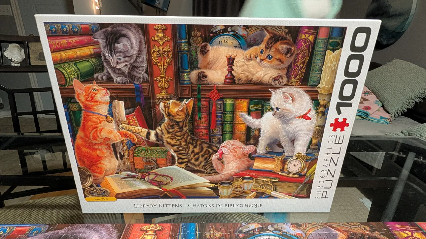 Eurographics Library Kittens 1000 Piece Puzzle image indicator(3)