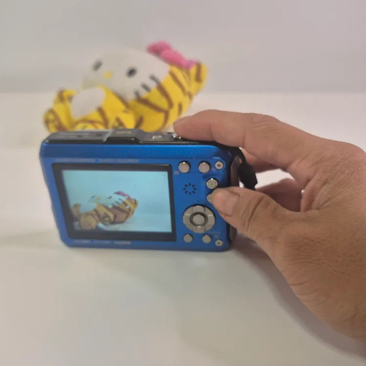 Panasonic Lumix DMC-TS4 Blue Waterproof Camera image indicator(3)