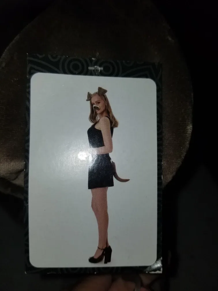 New Brown Dog Costume set thumbnail