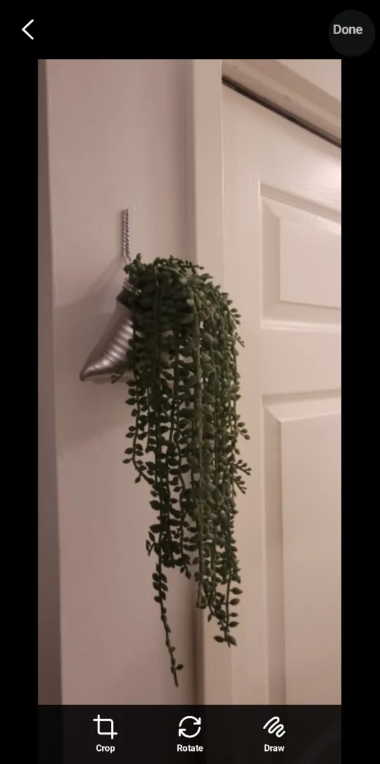 🥕Artificial String of Pearls Plant with hanging vase thumbnail