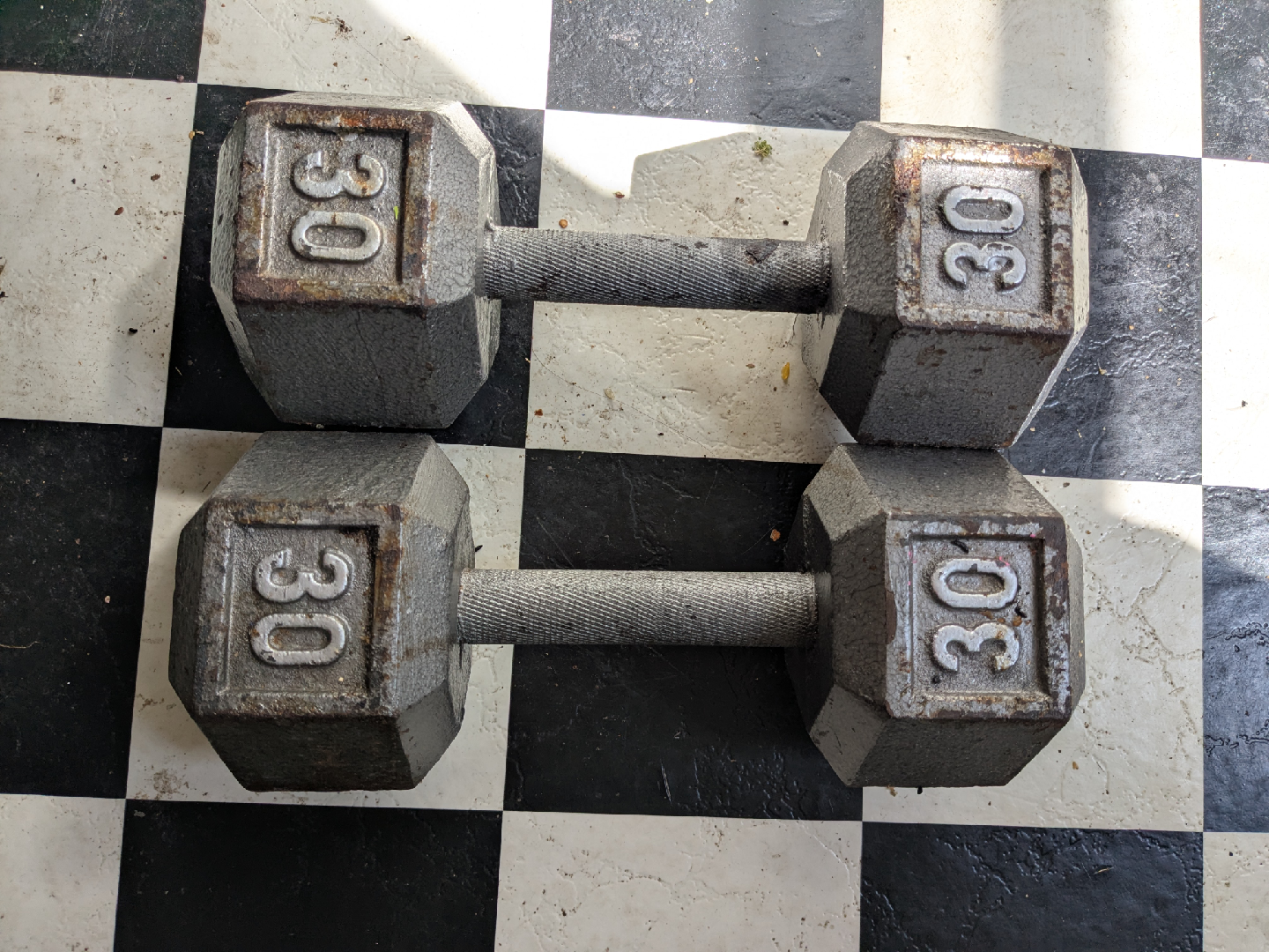 Two 30 lb Dumbbells