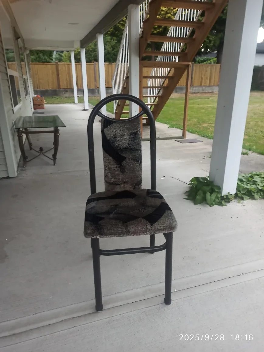 Used Dining Chair