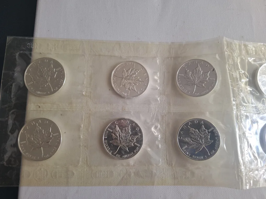 10 2006  Maple Leaf Sealed Silver Coin .9999 s thumbnail