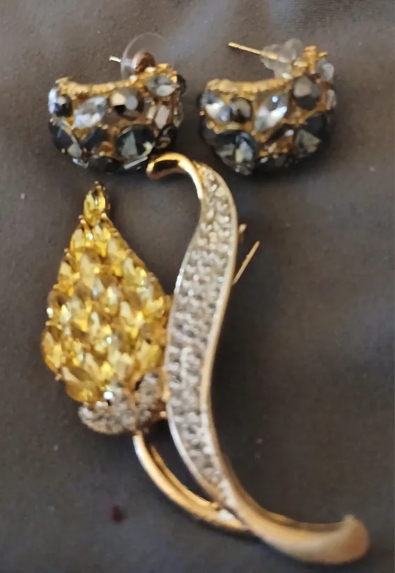 Earrings and Brooch Set thumbnail