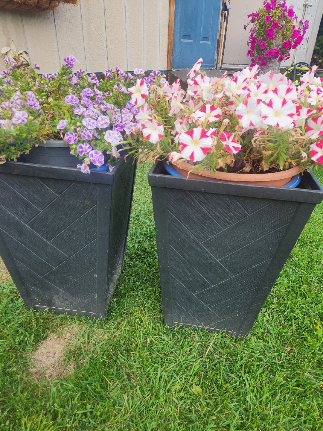 set of 2 tall planters *22"h* thumbnail