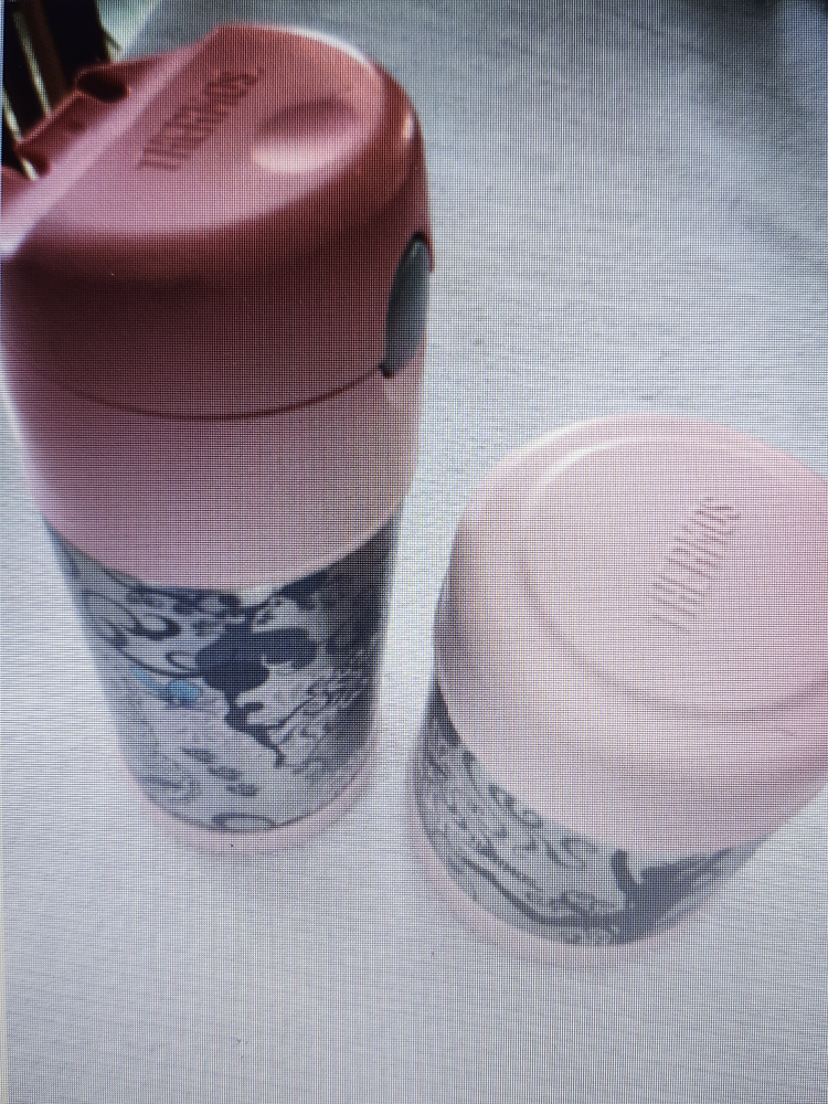 Thermos Pink Water Bottle & food container