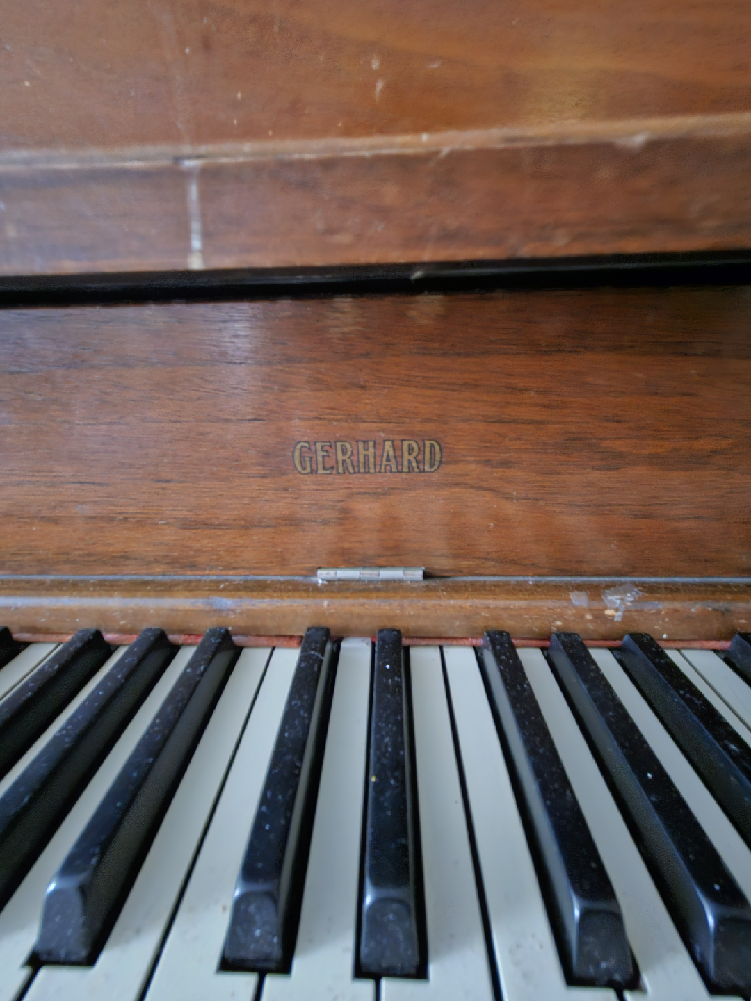 🥕 Free Gerhard Piano - photo 2