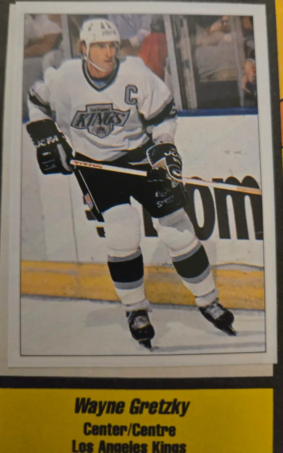 1990-91 Panini Hockey Sticker Albums Plus. image indicator(6)