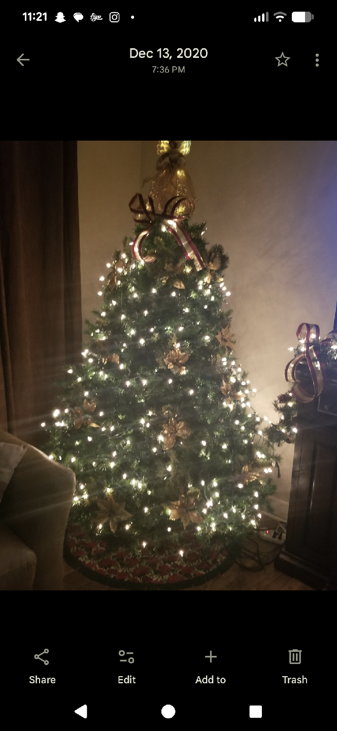 Christmas Tree with Lights