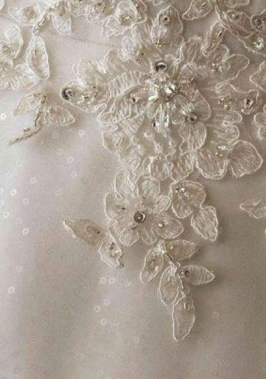 Bridal Chest Wedding Dress - photo 3