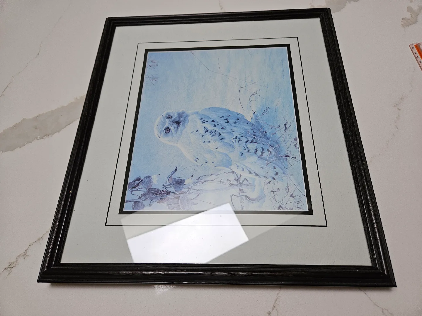 Robert Bateman 'Arctic Majesty' Framed Print image indicator(5)