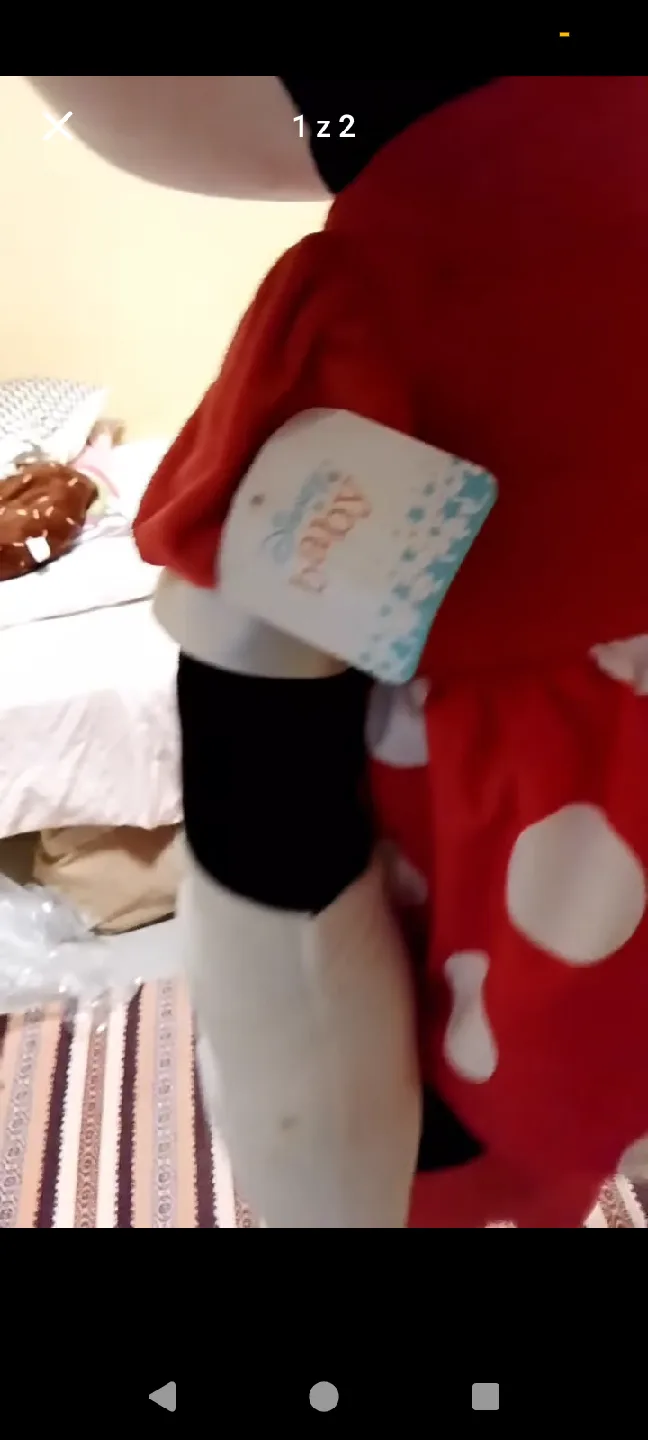 Minnie Mouse Plush Doll image indicator(6)