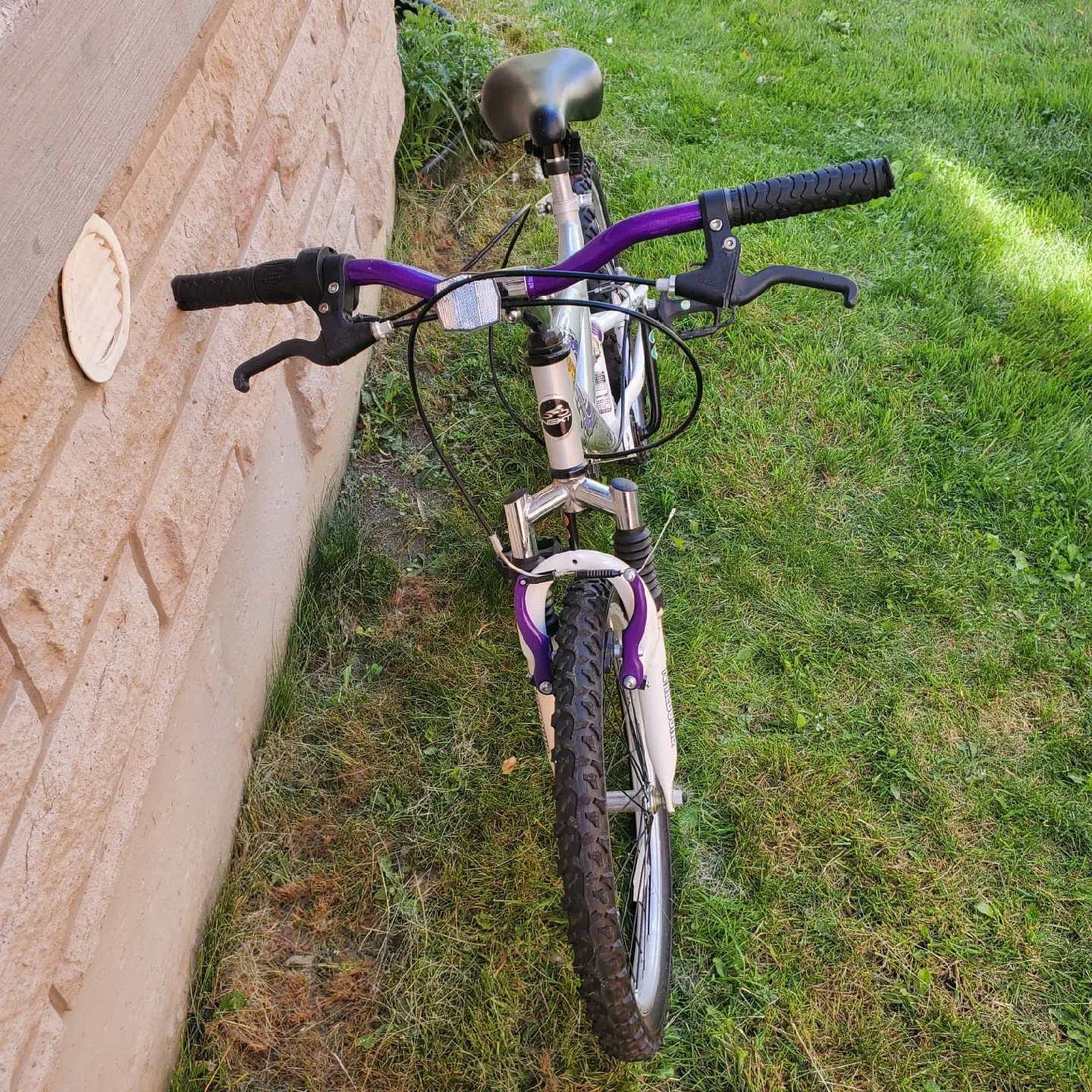 Next Dynacraft Bicycle 20 Airwave Bike image indicator(9)