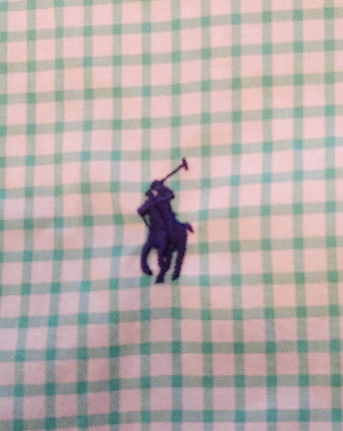 Polo Ralph Lauren Green Gingham Shirt - photo 3