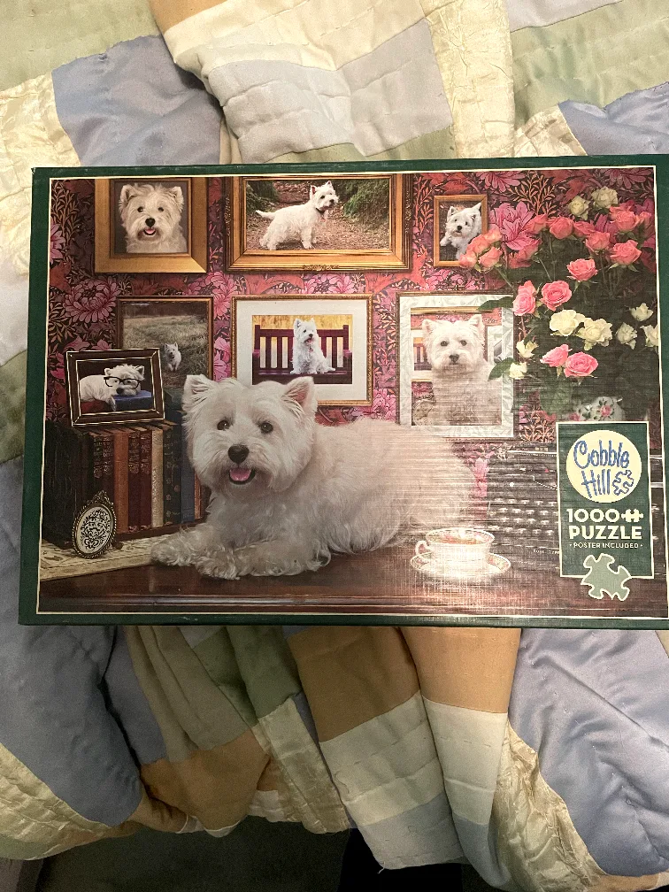 Cobble Hill Puzzle Set