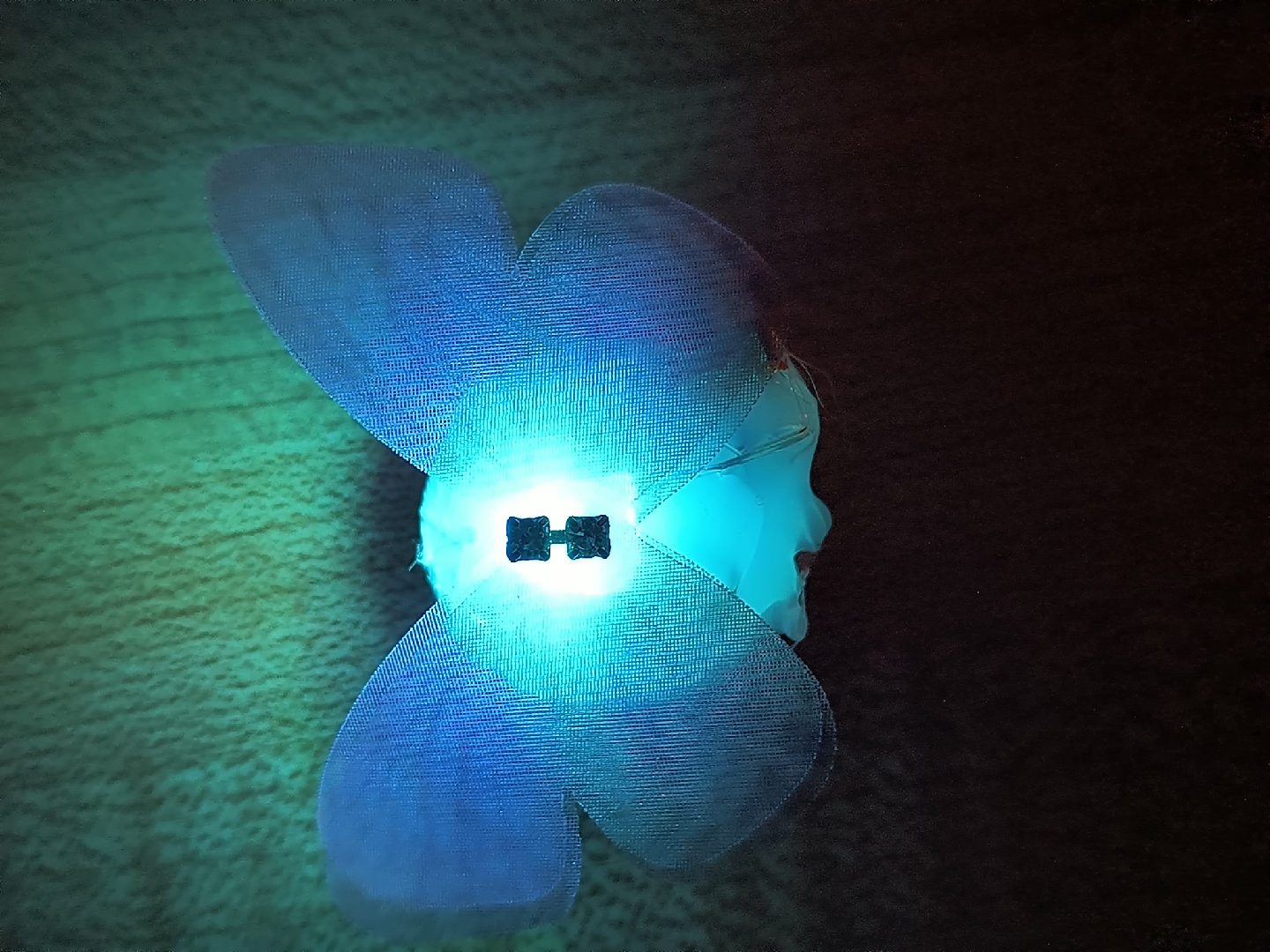 LED Color changing butterfly decor