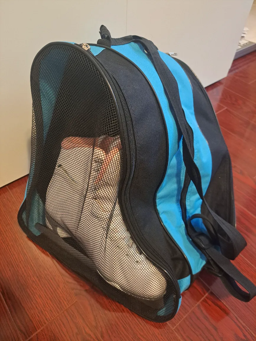 Beautiful Figure Skates (Junior/Girls) with a carry bag image indicator(6)