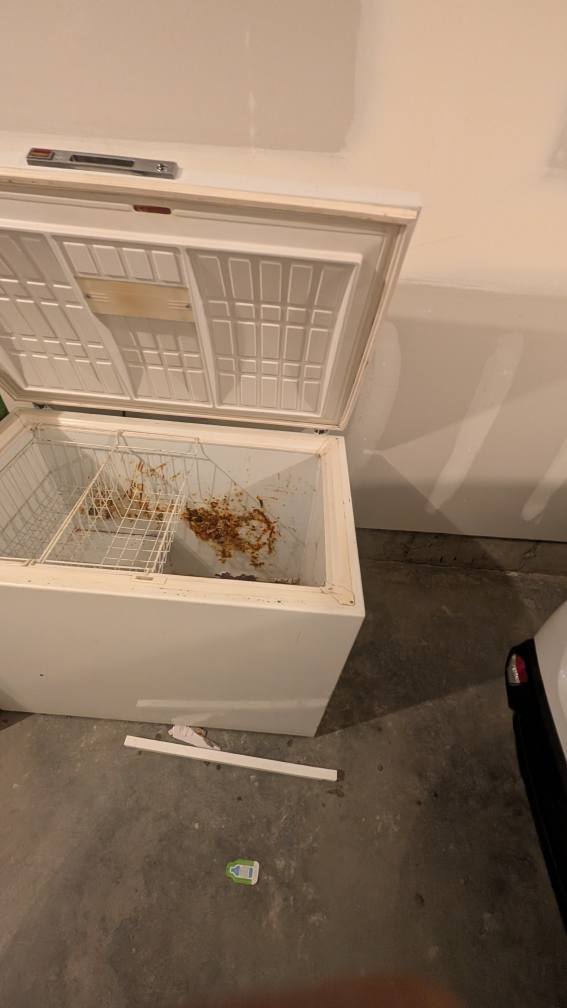 Chest Freezer - White