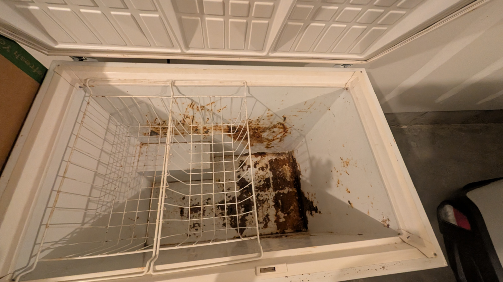 Chest Freezer - White - photo 3