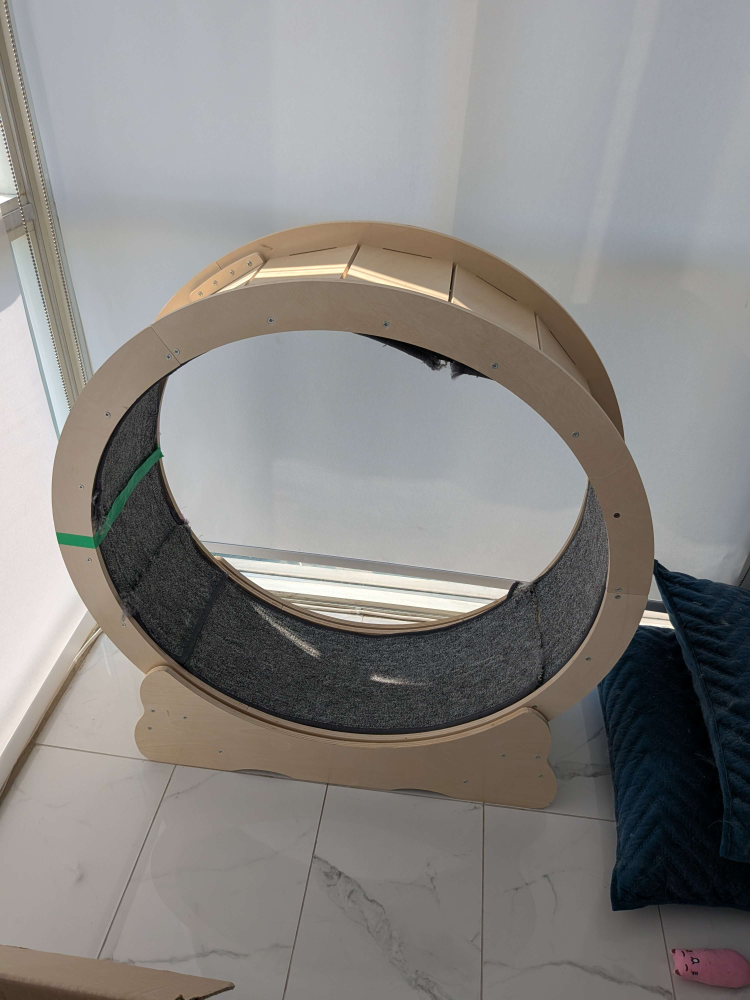 Cat Exercise Wheel - photo 2