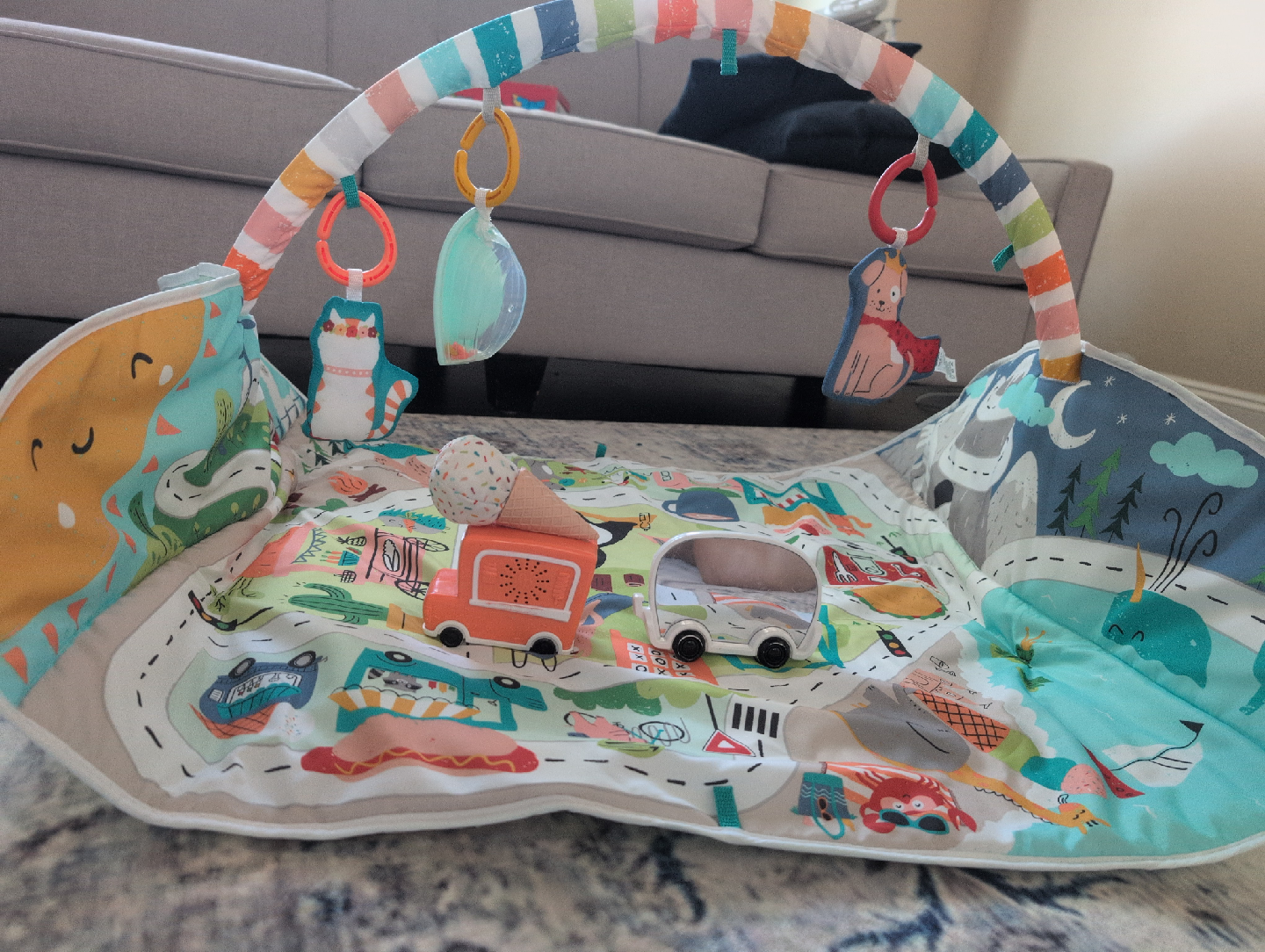 Fisher Price Baby Play Mat with Toys