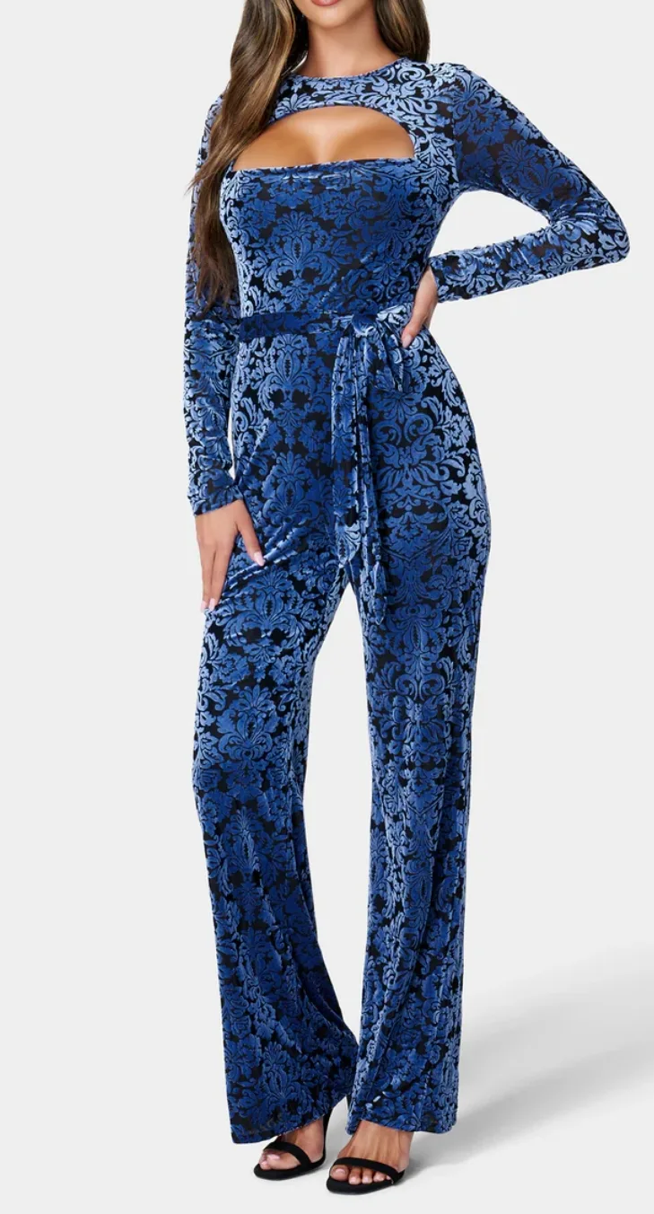 Velvet Burnout Jumpsuit image indicator(2)