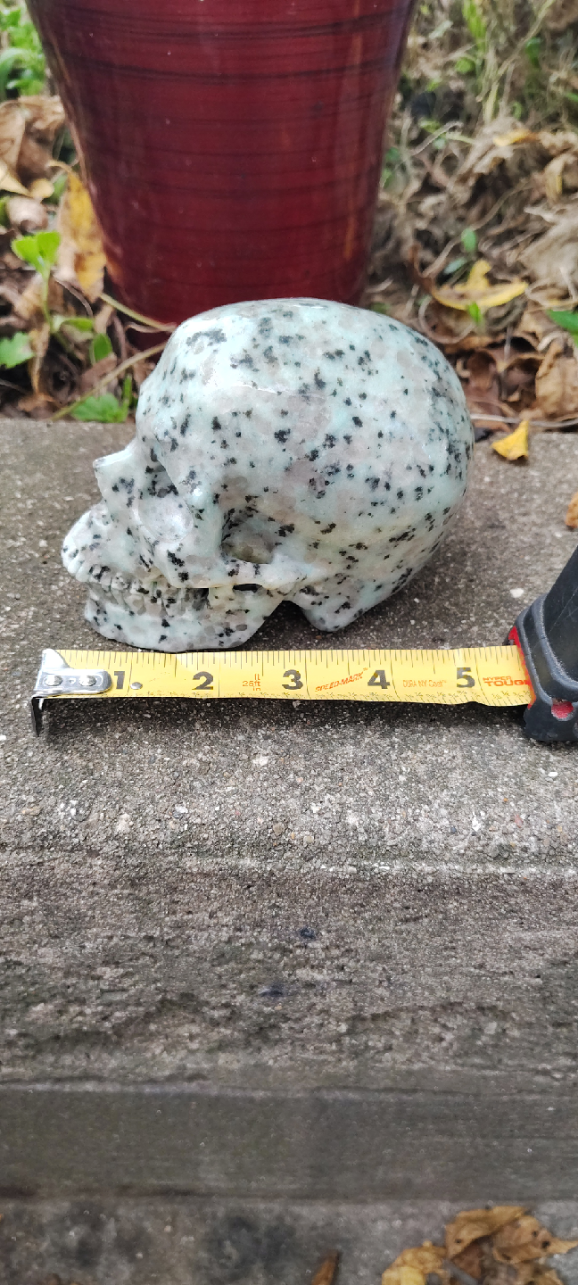 Kiwi jasper skull - photo 2