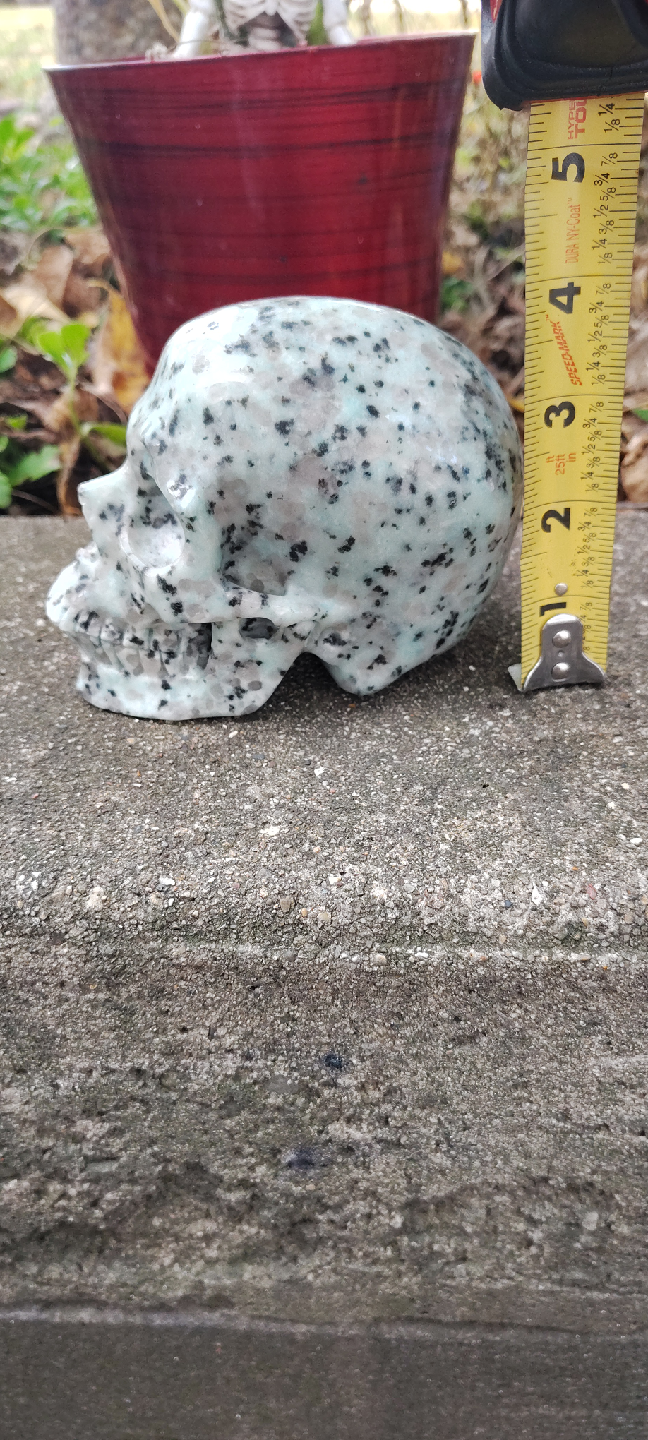 Kiwi jasper skull - photo 3
