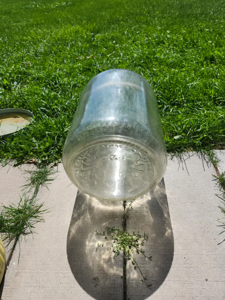 sold Glass Demijohn 6 gallon container image indicator(2)