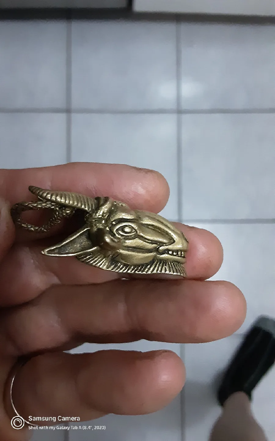 Brass Snake on Goat Skull Pendant image indicator(3)