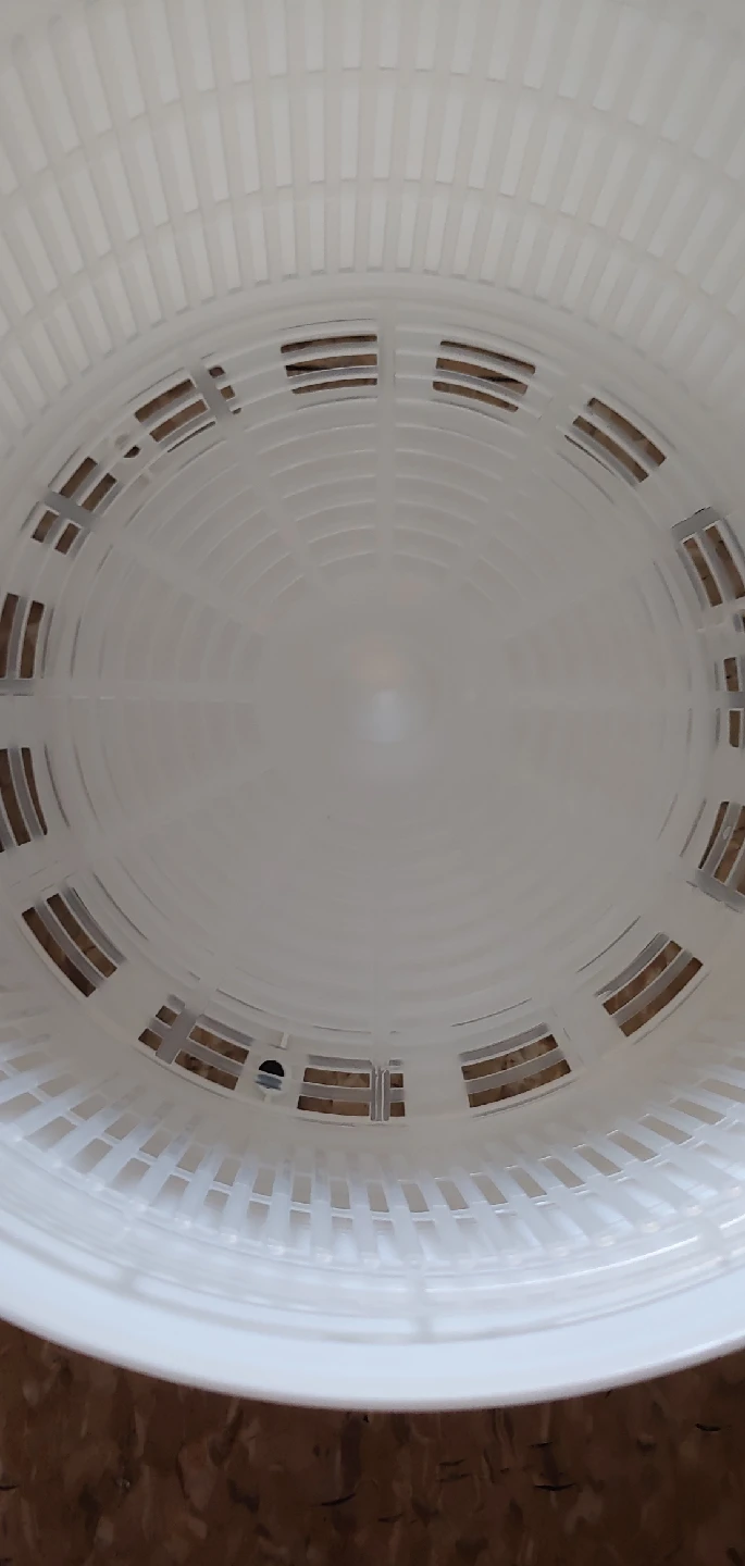 Salad Spinner - White - photo 3