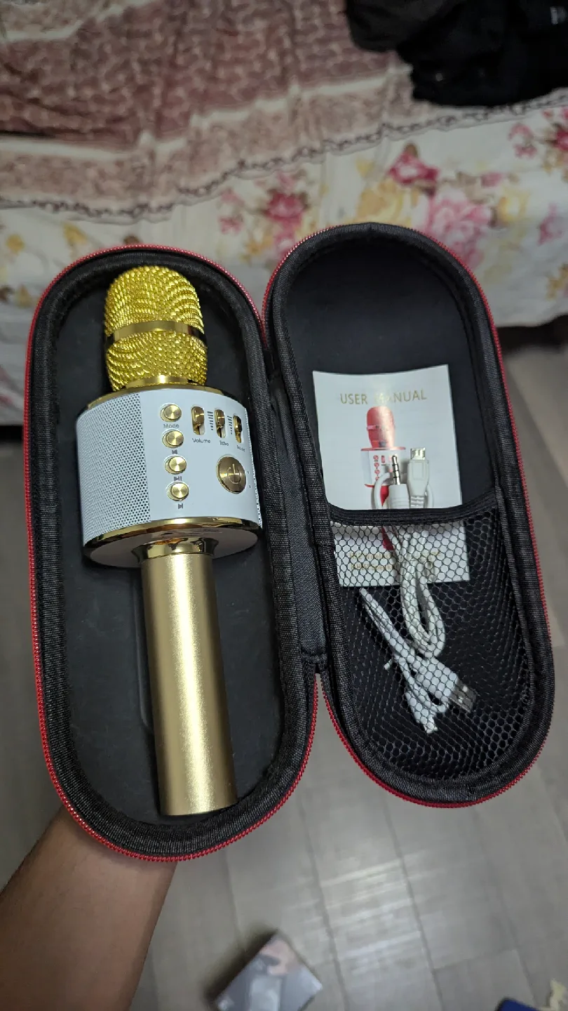 Karaoke Microphone with Case - Gold and White