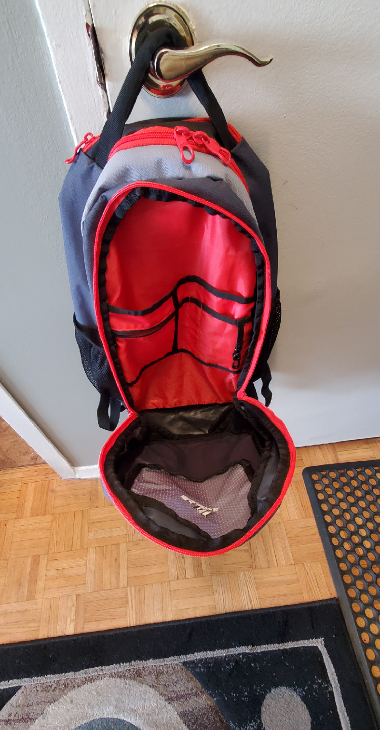 Champion & Adidas Backpacks - photo 2