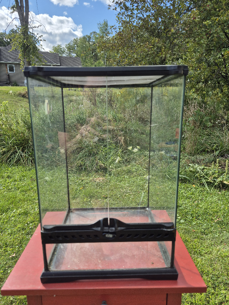 Glass Terrarium with Screen Top 12x12x18