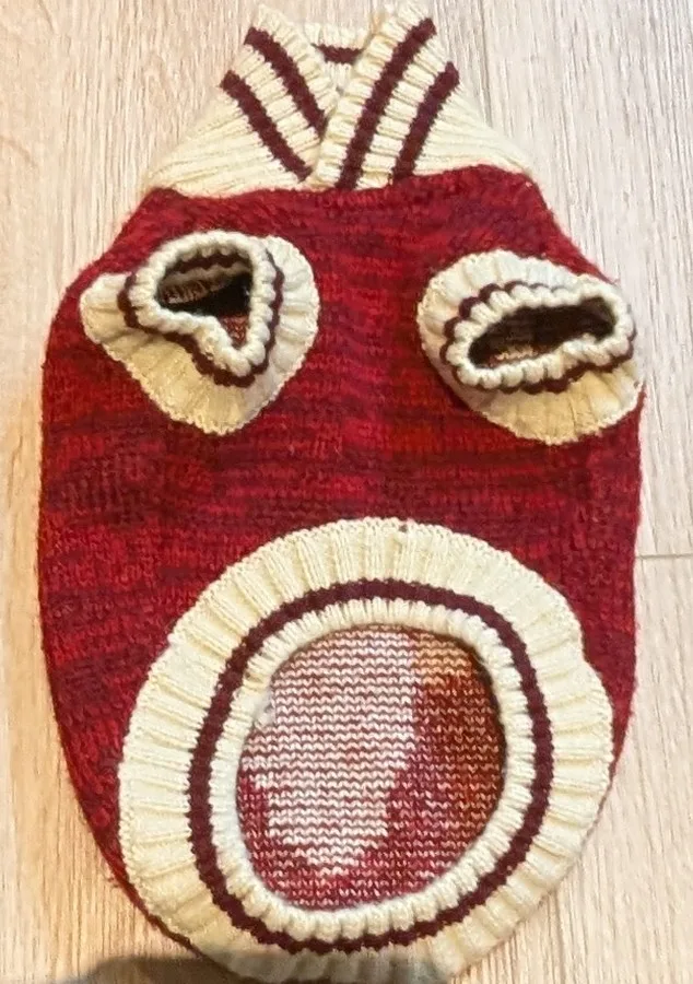 Bailey & Bella XS Dog Sweater image indicator(3)